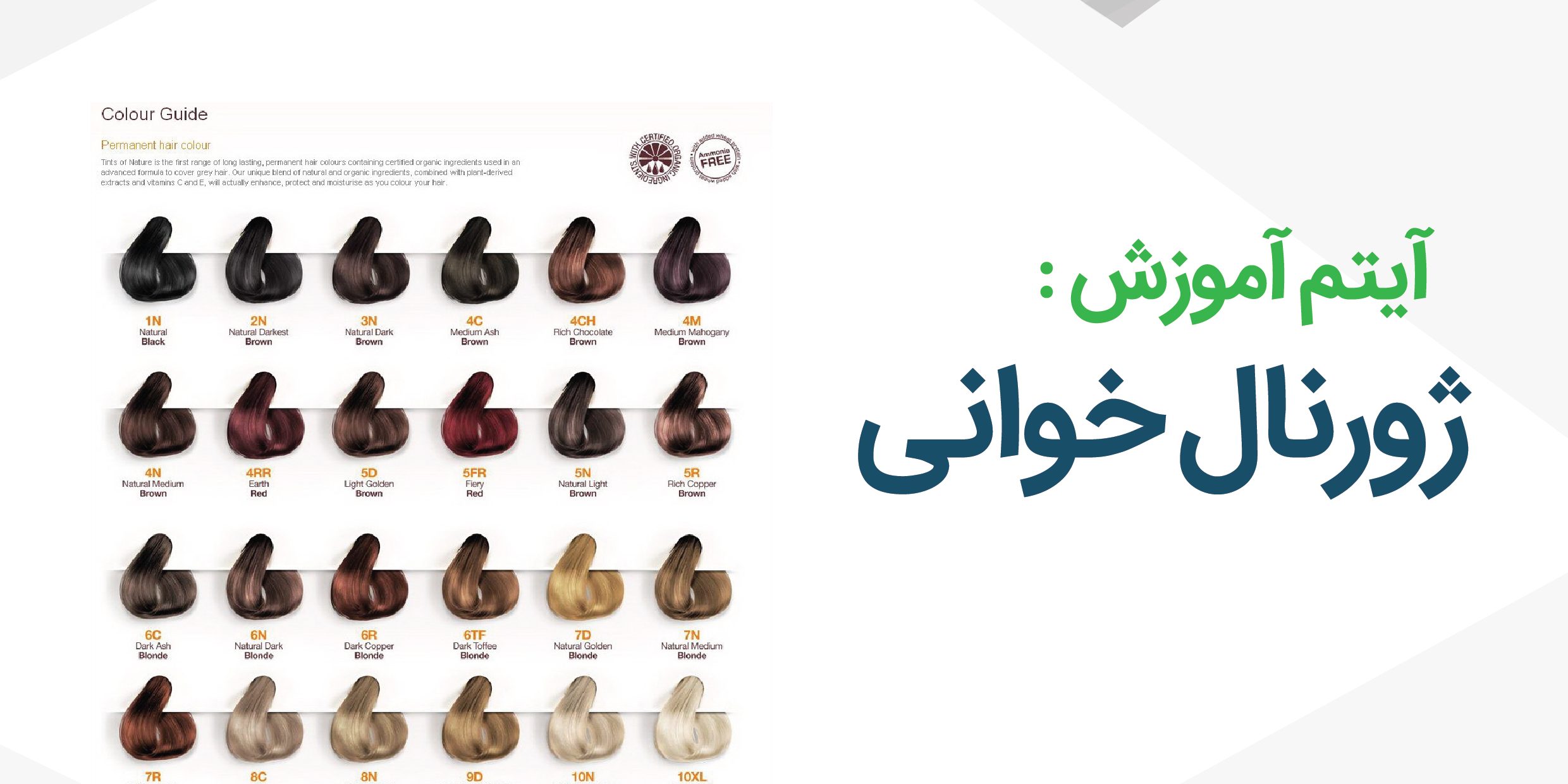 ژورنال خوانی