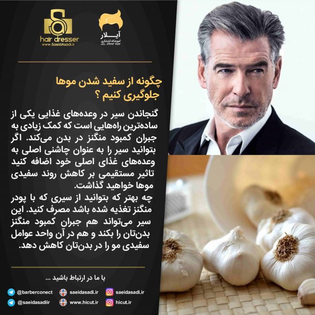 استفاده سه صفر در کاتالوگ-01