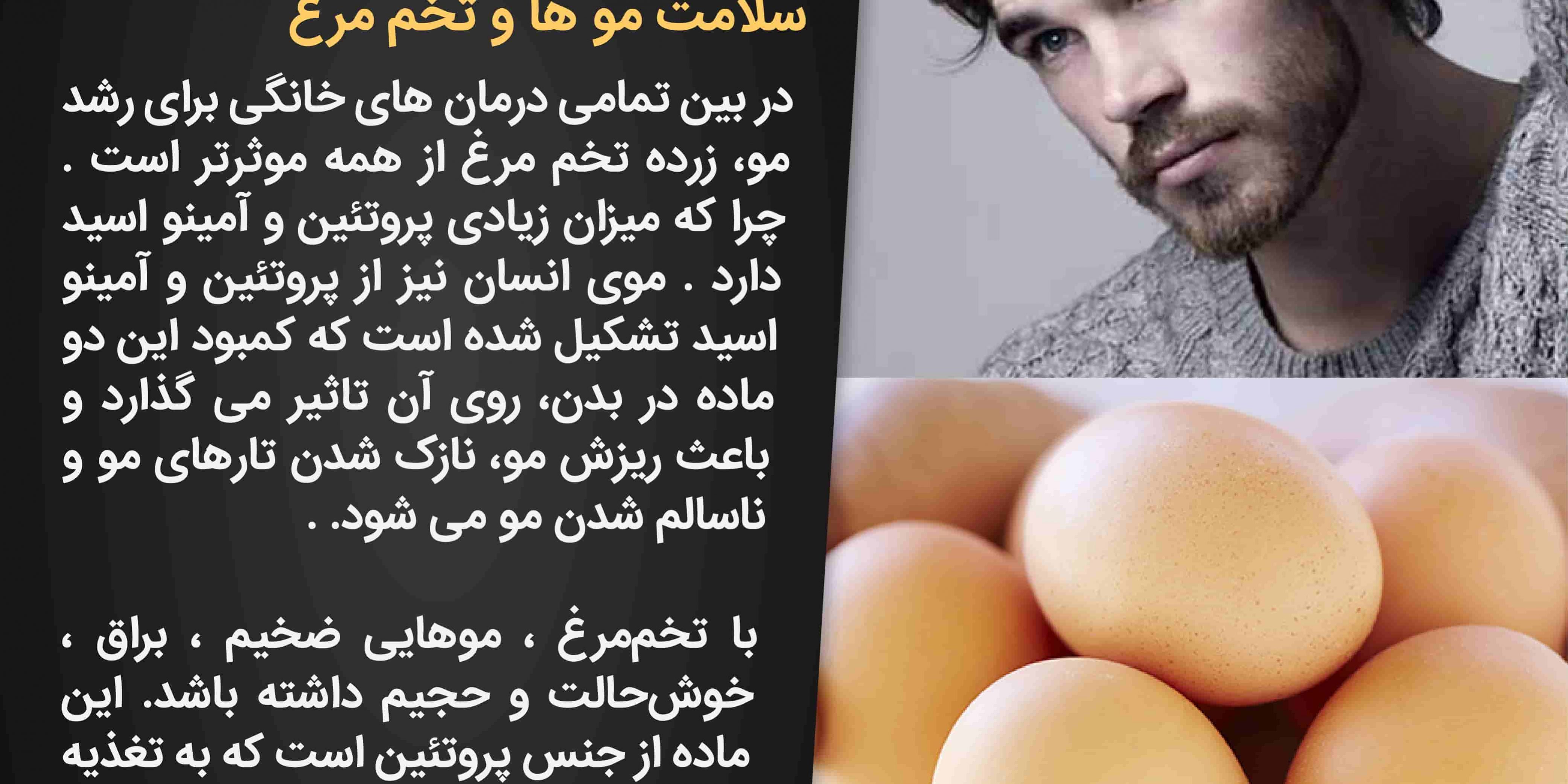 تخم مرغ و سلامتی مو