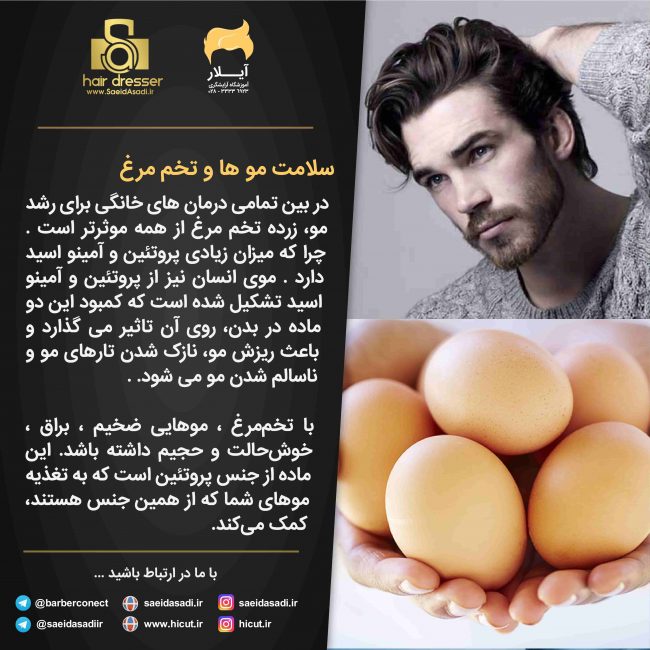 تخم مرغ و سلامتی مو