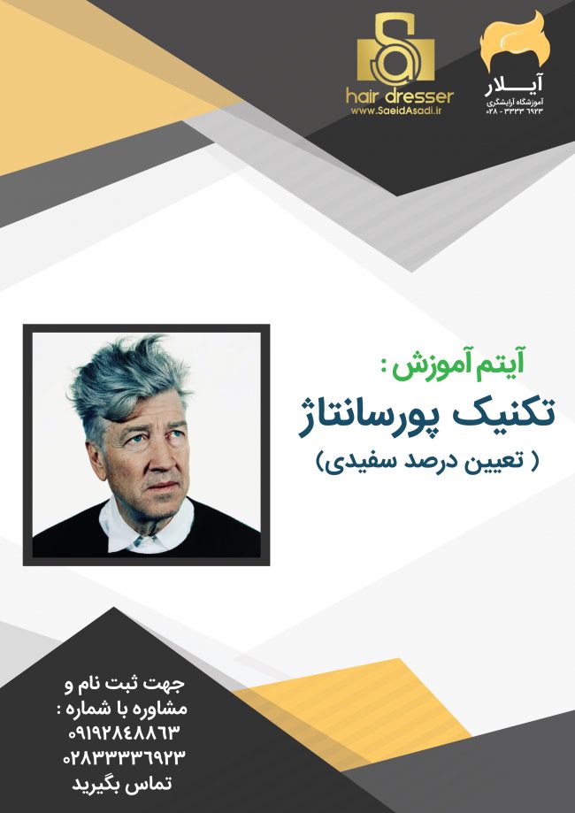 تکنیک پورسانتاژ